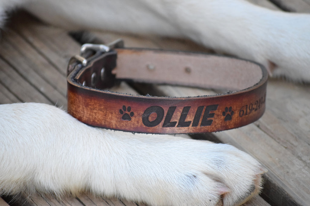 Personalized Engraved Leather Dog Collar Name Leather Collar Brown Leather  Collar – Country Barn Babe